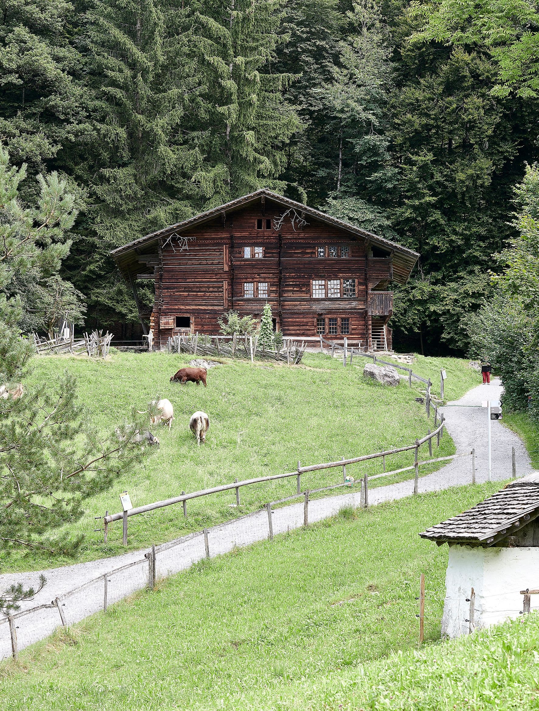 Freilichtmuseum Ballenberg, Bauernhaus aus Adelboden, Südwestansicht. Bei der Vermittlung im Museum steht das bäuerliche Leben im Berner Oberland, inklusiv der Herstellung von Spanschachteln in Heimarbeit im Vordergrund. Vermehrt wird nun die bislang vernachlässigte touristische Geschichte des Hauses als Massenlager in den Blick genommen. Foto: P. Betschart, 2021.