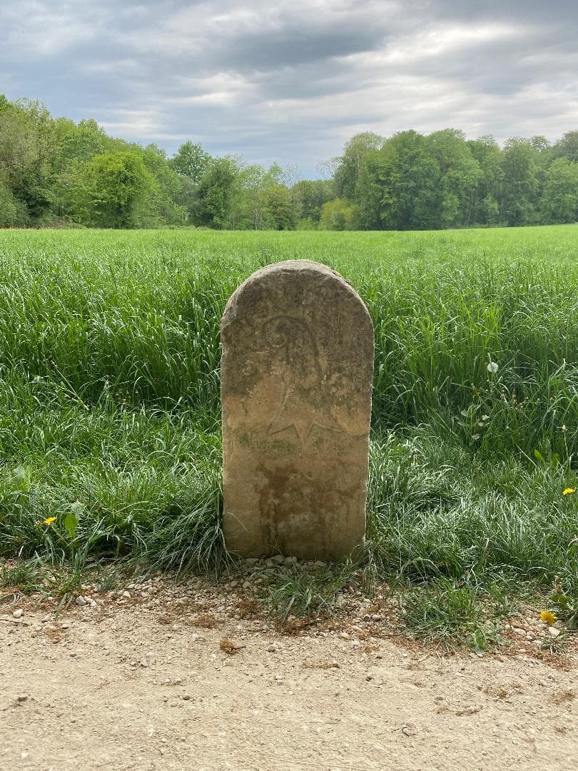 Grenzstein Baselland-Frankreich (Foto: Michelle Bachmann 2020)